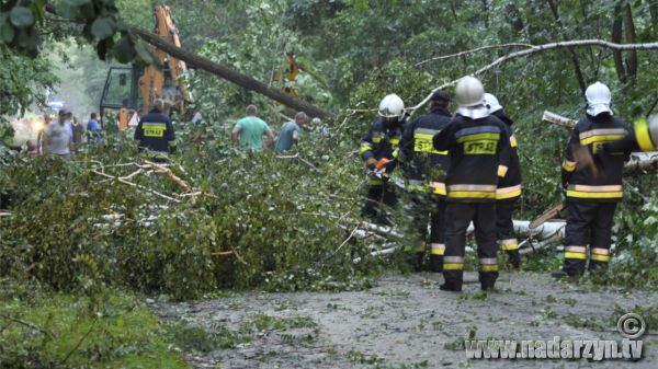 Policja przestrzega i informuje jak zachować się w czasie burzy